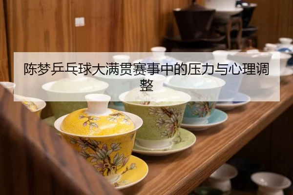 陈梦乒乓球大满贯赛事中的压力与心理调整