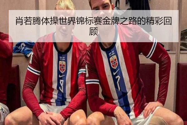 肖若腾体操世界锦标赛金牌之路的精彩回顾